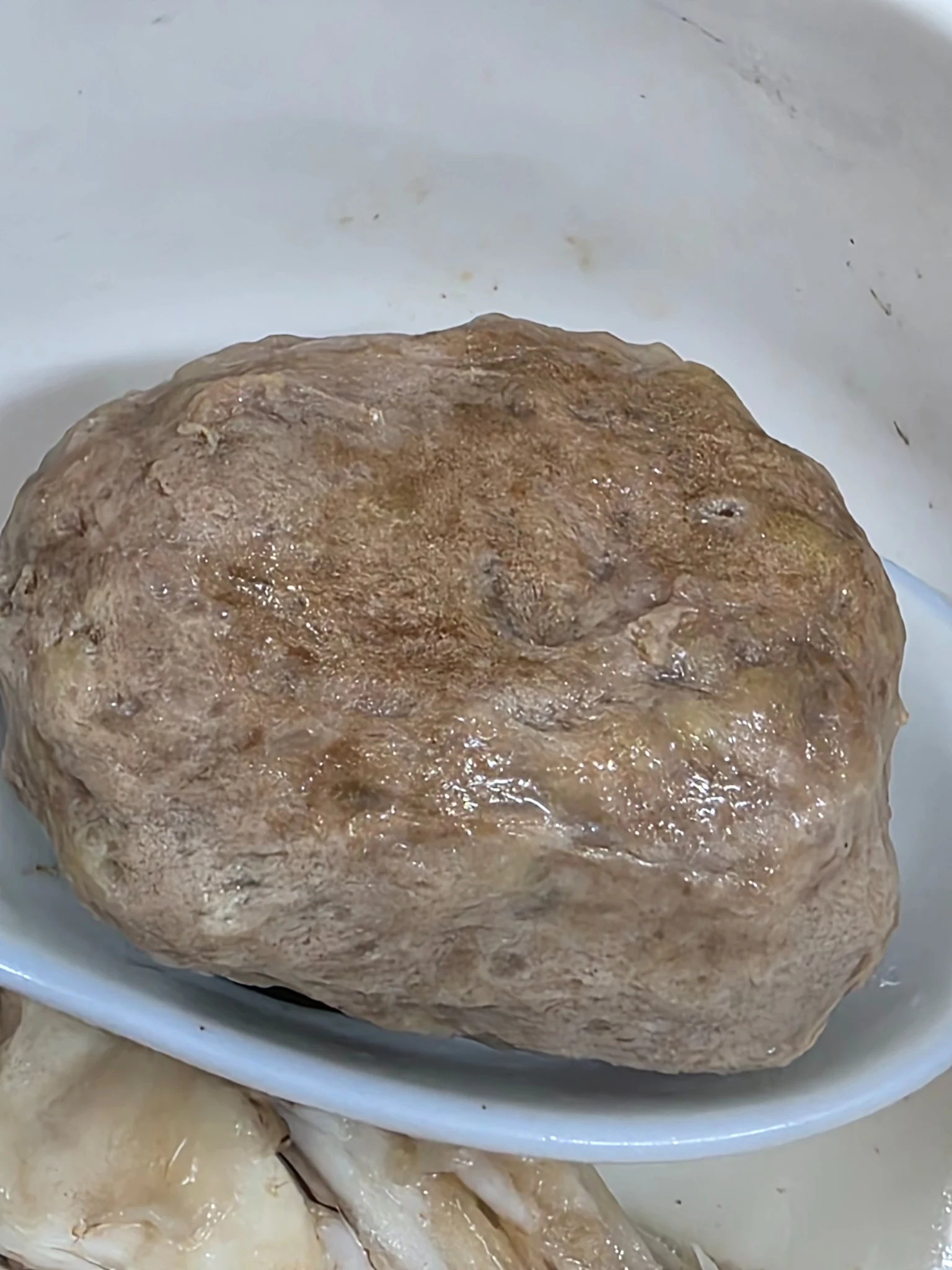 Provided photograph of a whole meatball in a white bowl; the product variety and conformity cannot be identified from appearance alone