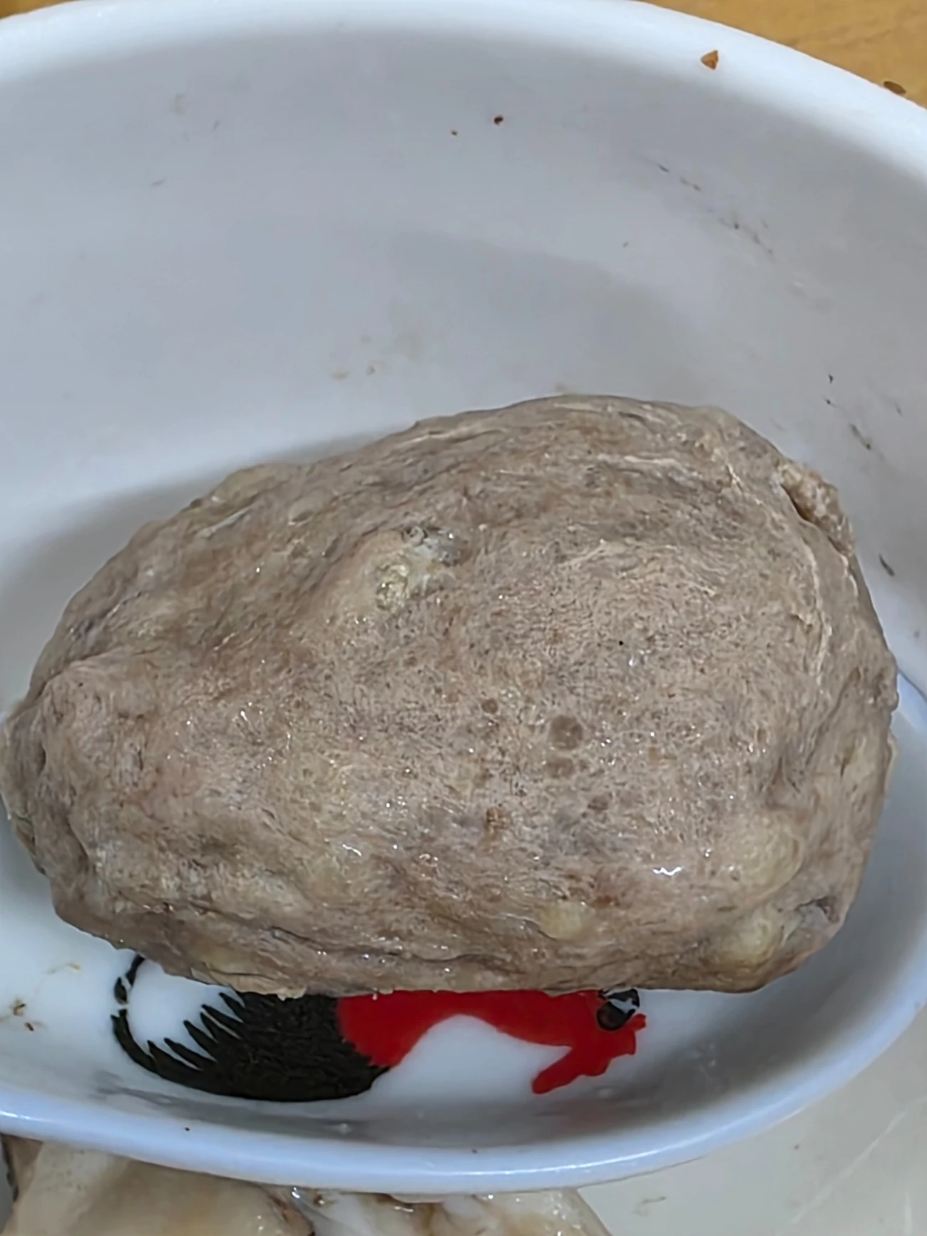 Provided photograph of an intact beef ball in a white bowl, shown for form comparison